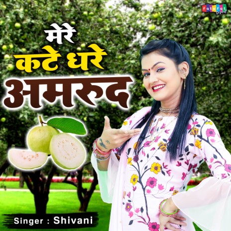 Mere Kate Dhare Amrood | Boomplay Music