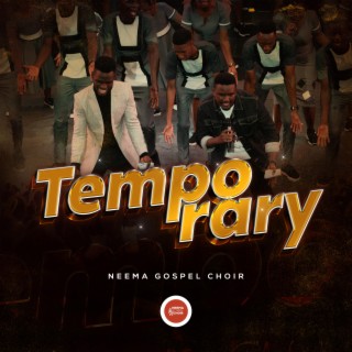Temporary lyrics | Boomplay Music