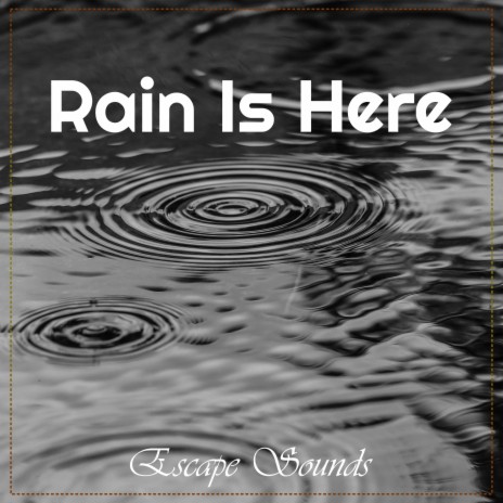 Rain Ambiance | Boomplay Music