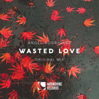 Wasted Love