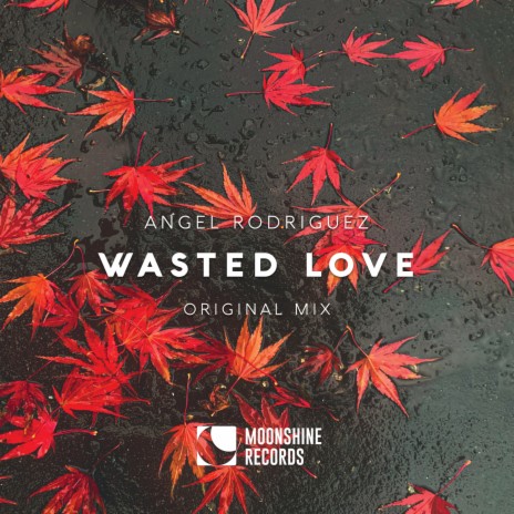 Wasted Love (Original Mix) | Boomplay Music