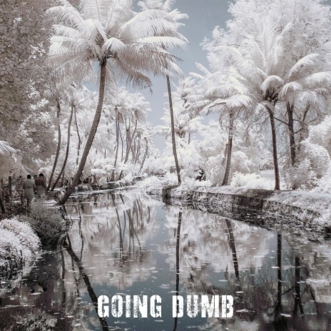 Going Dumb | Boomplay Music