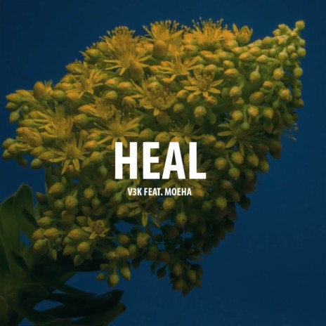 Heal ft. Moeha | Boomplay Music