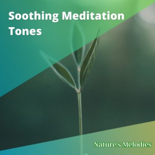 Soothing Meditation Tones to Combat Sleeplessness & Harmonize Sleep Pattern