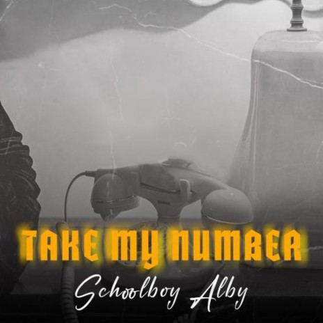 Take My Number | Boomplay Music