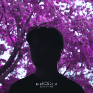 Inseparable (LIME. Remix)