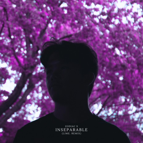 Inseparable (LIME. Remix) ft. LIME. | Boomplay Music
