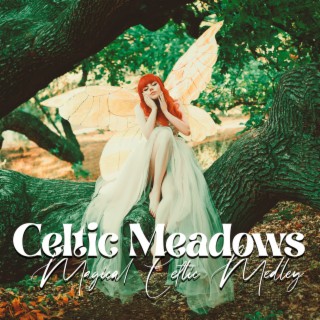 Celtic Meadows: Magical Celtic Medley for Soothing Relaxation and Inspiring Meditation with Healing Sounds of Harp,Guitar, Flute