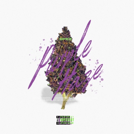 Purple Haze | Boomplay Music