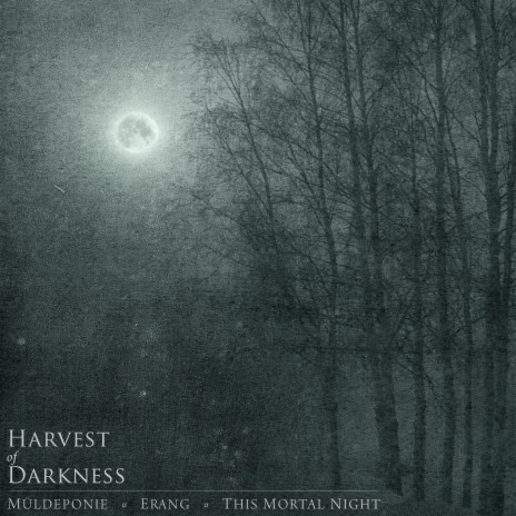 As I Walk Through The Desolate Plains Of My Past ('Harvest of Darkness' split single)