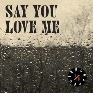 Say You Love Me