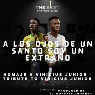 A Los Ojos de un Santo Soy un Extraño - Homenaje a Vinicius Junior - Tribute to Vinicius Junior lyrics | Boomplay Music