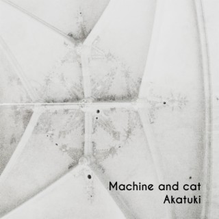 Machine and Cat