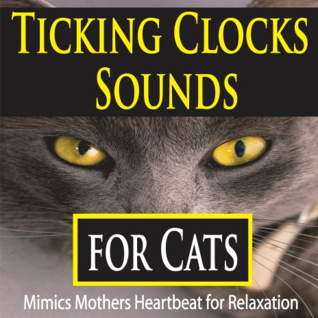 Clock Ticking for Kittens (Mimics Mothers Heartbeat) | Boomplay Music