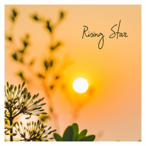 Rising Star | Boomplay Music