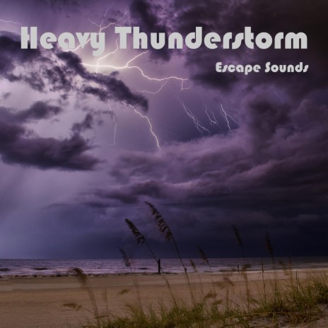 Rain Sounds and Thunderstorm | Boomplay Music