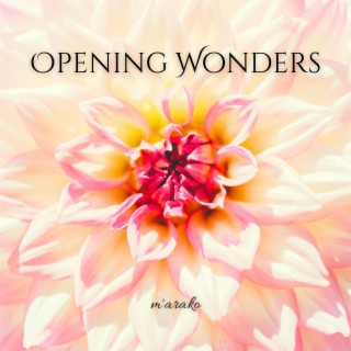 Opening Wonders