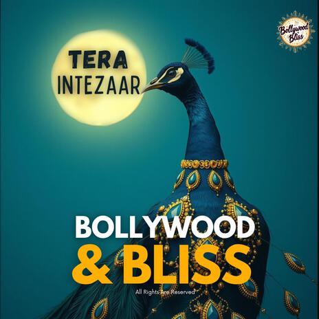 TERA INTEZAAR | Boomplay Music