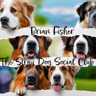 The Stray Dog Social Club