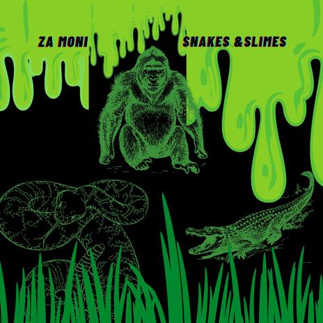 Snakes & Slimes | Boomplay Music