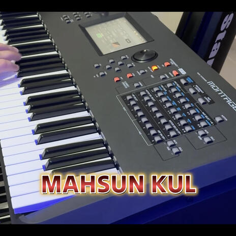 Mahsun kul (v2)