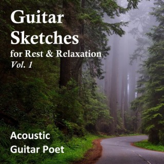 Acoustic Guitar Poet