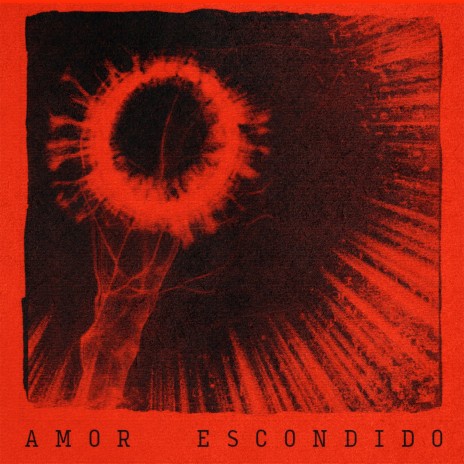 Amor escondido