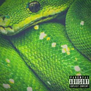 Snake ft. Bmilz lyrics | Boomplay Music
