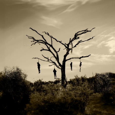 Hanged Man's Tree | Boomplay Music