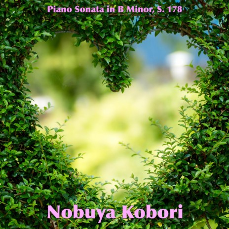 Piano Sonata in B Minor, S. 178 | Boomplay Music