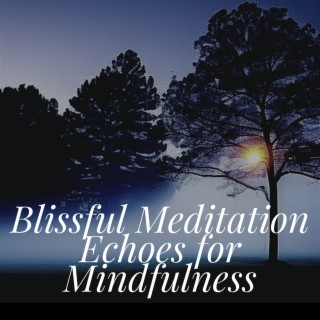 Blissful Meditation Echoes for Mindfulness
