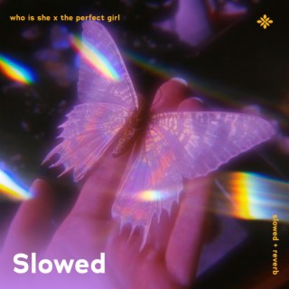 who is she x the perfect girl - slowed + reverb