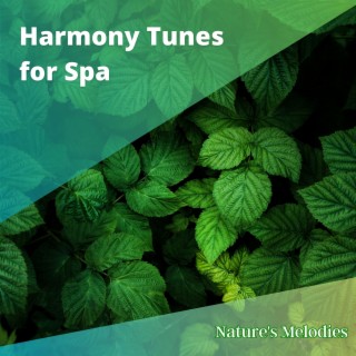 Harmony Tunes for Spa: Peacefulness & Complete Relaxation