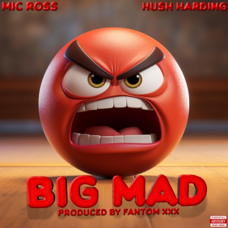 Big Mad | Boomplay Music