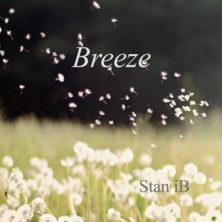 Breeze