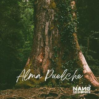 Alma puelche (Vivo Nano Sesiones)