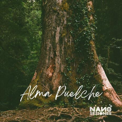 Alma puelche (Vivo Nano Sesiones) | Boomplay Music