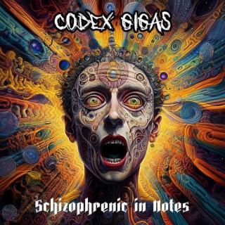 Schizofrenic in Notes