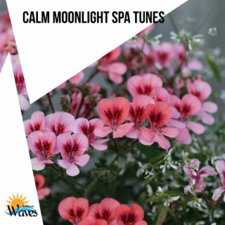 Calm Moonlight Spa Tunes