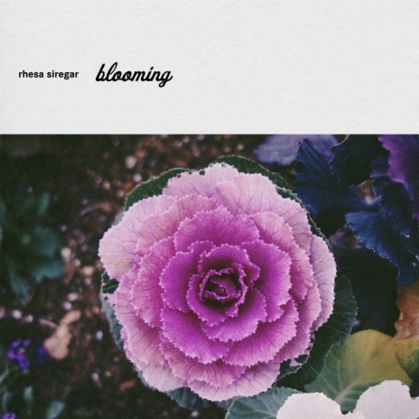 blooming | Boomplay Music