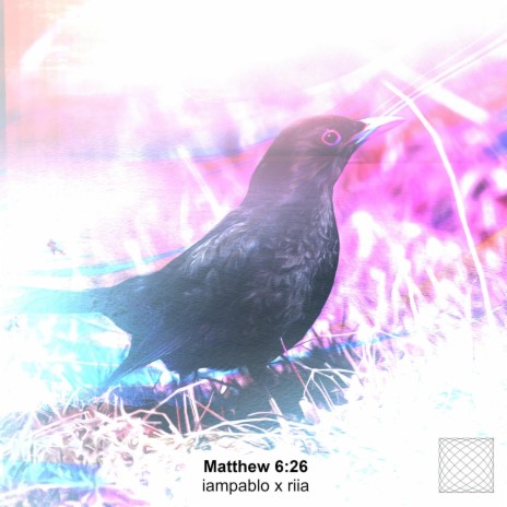 Matthew 6:26 ft. riia | Boomplay Music