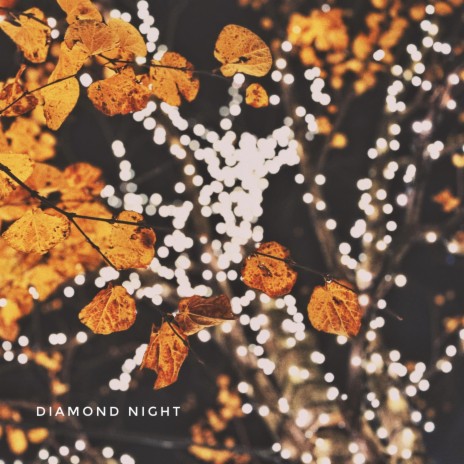 Diamond Night | Boomplay Music