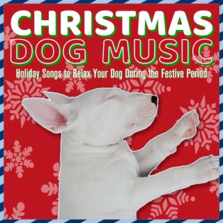 Christmas Dog Music: Holiday Songs to Relax Your Dog During the Festive Period