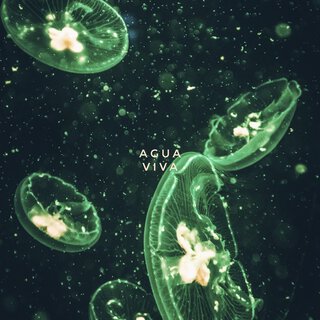 Agua Viva