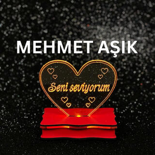 Seni Seviyorum lyrics | Boomplay Music