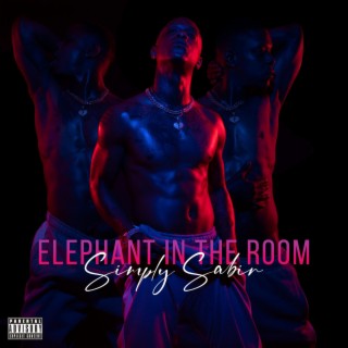 Elephant In The Room lyrics | Boomplay Music