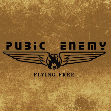 Flying free | Boomplay Music