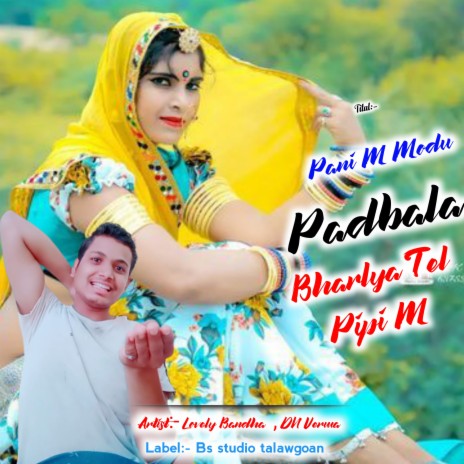 Pani M Modu Padbala Bharlya Tel Pipi M ft. DN Verma | Boomplay Music