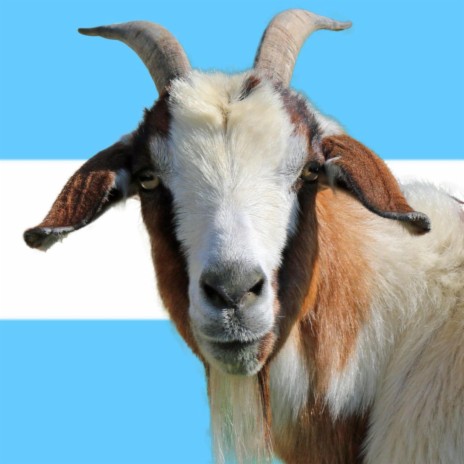 Goat Debate | Boomplay Music