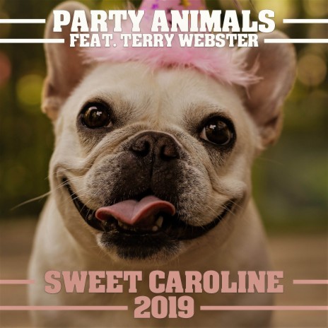 Sweet Caroline 2019 (Dance Party Mix) ft. Terry Webster | Boomplay Music